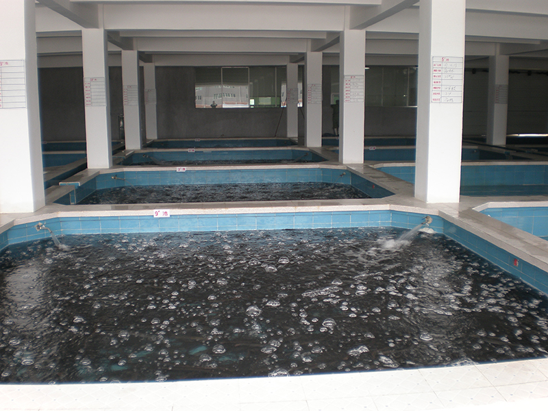 01. Temporary Rearing Pool